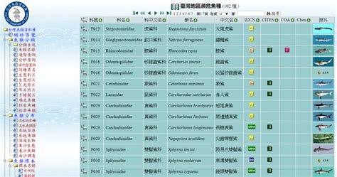 魚種查詢|臺灣魚類資料庫